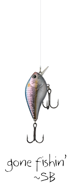 gone fishing - sb